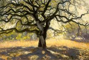 IWC Study Circle and Discussion – March 2026