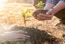 Nature Is Gaining Legal Rights