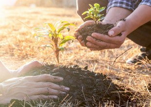 Nature Is Gaining Legal Rights