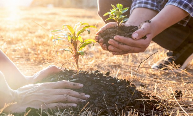 Nature Is Gaining Legal Rights