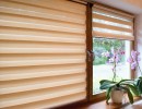 Wonderful Windows: Choosing Window Treatments