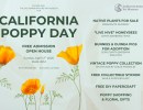 Free Admission: California Poppy Day