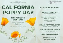 Free Admission: California Poppy Day