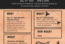 Sip, Science, Art! – Sharks