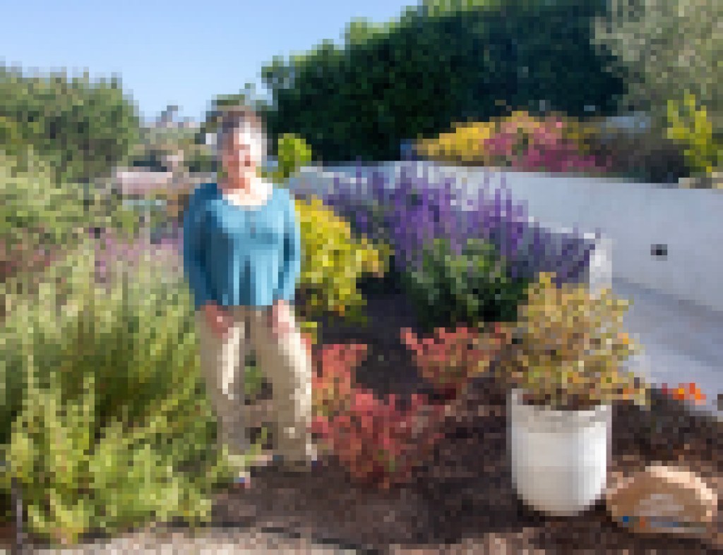 Se Aceptan Solicitudes para el Concurso de Reconocimiento de Jardines Waterwise 2026 – Celebrando los paisajes más bellos y eficientes en el uso del agua en el Condado de Santa Barbara