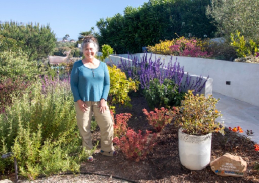 Se Aceptan Solicitudes para el Concurso de Reconocimiento de Jardines Waterwise 2026 – Celebrando los paisajes más bellos y eficientes en el uso del agua en el Condado de Santa Barbara