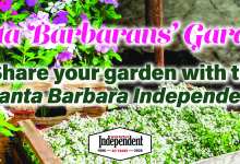 Santa Barbarans’ Gardens