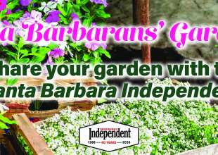 Santa Barbarans’ Gardens