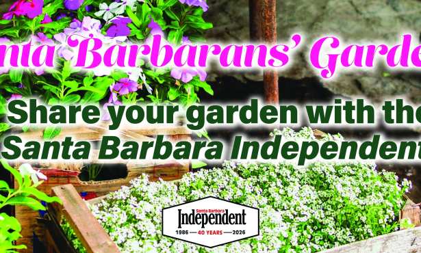 Santa Barbarans’ Gardens