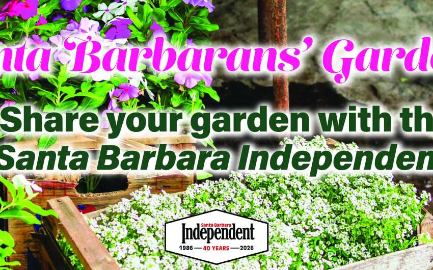 Santa Barbarans’ Gardens