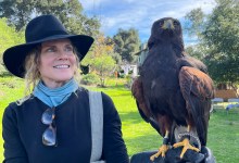Los Padres ForestWatch Raptor Experience