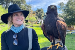 Los Padres ForestWatch Raptor Experience