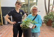 Hear, Ye! Hear, Ye! Get Your Free Tree! 