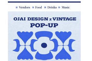 Ojai Design x Vintage