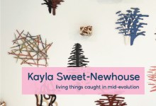 Living Things in Ceramics – Art Opening