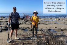 LOBSTER TRAP CLEANUP- VOLUNTEERS NEEDED