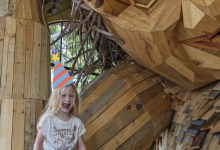 Lulu Hyggelig’s Birthday Party