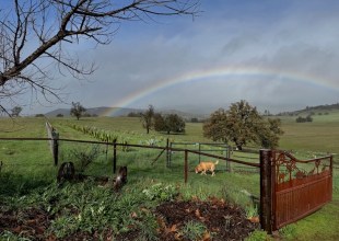 California Agave Symposium Comes to Santa Barbara
