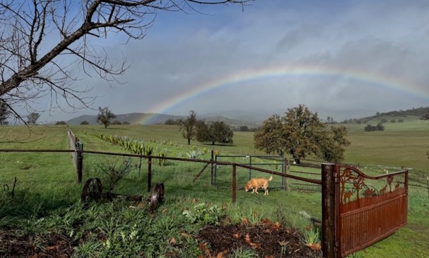 California Agave Symposium Comes to Santa Barbara