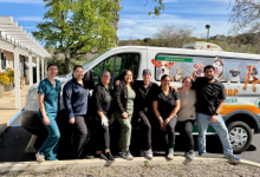 134 Animals Spayed and Neutered on World Spay Day