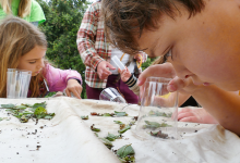 Pathfinders: The Great Insect Hunt