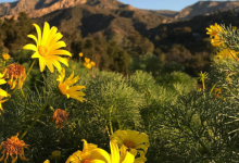 Get Outside Yourself: A Journey Through Breathwork