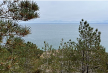 Santa Rosa Island – Day Trip