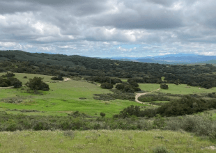 A 4,000-Unit Housing Project Between Orcutt and Los Alamos Is Moving Forward