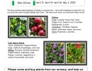 Mesa Harmony Garden Spring Plant Sale