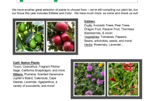 Mesa Harmony Garden Spring Plant Sale