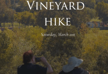 Vineyard Hike at Sunstone