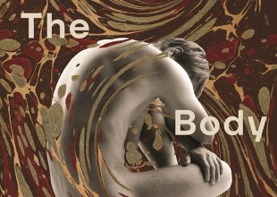 Book Review | ‘The Body Builders’ by Albertine Clarke