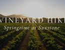 Estate Vineyard Hike