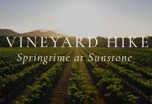 Estate Vineyard Hike