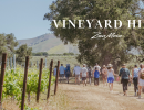 Vineyard Hike