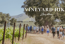Vineyard Hike
