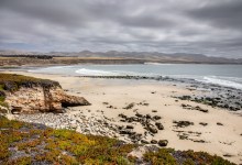 Coastal Cleanup & Walk at the Dangermond Preserve