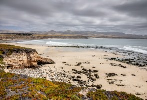 Coastal Cleanup & Walk at the Dangermond Preserve