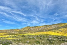 The Home Page | Yellow & Green Hues and Big Ranch News