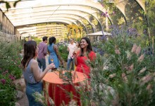 Members-Only Nights in the Butterfly Pavilion