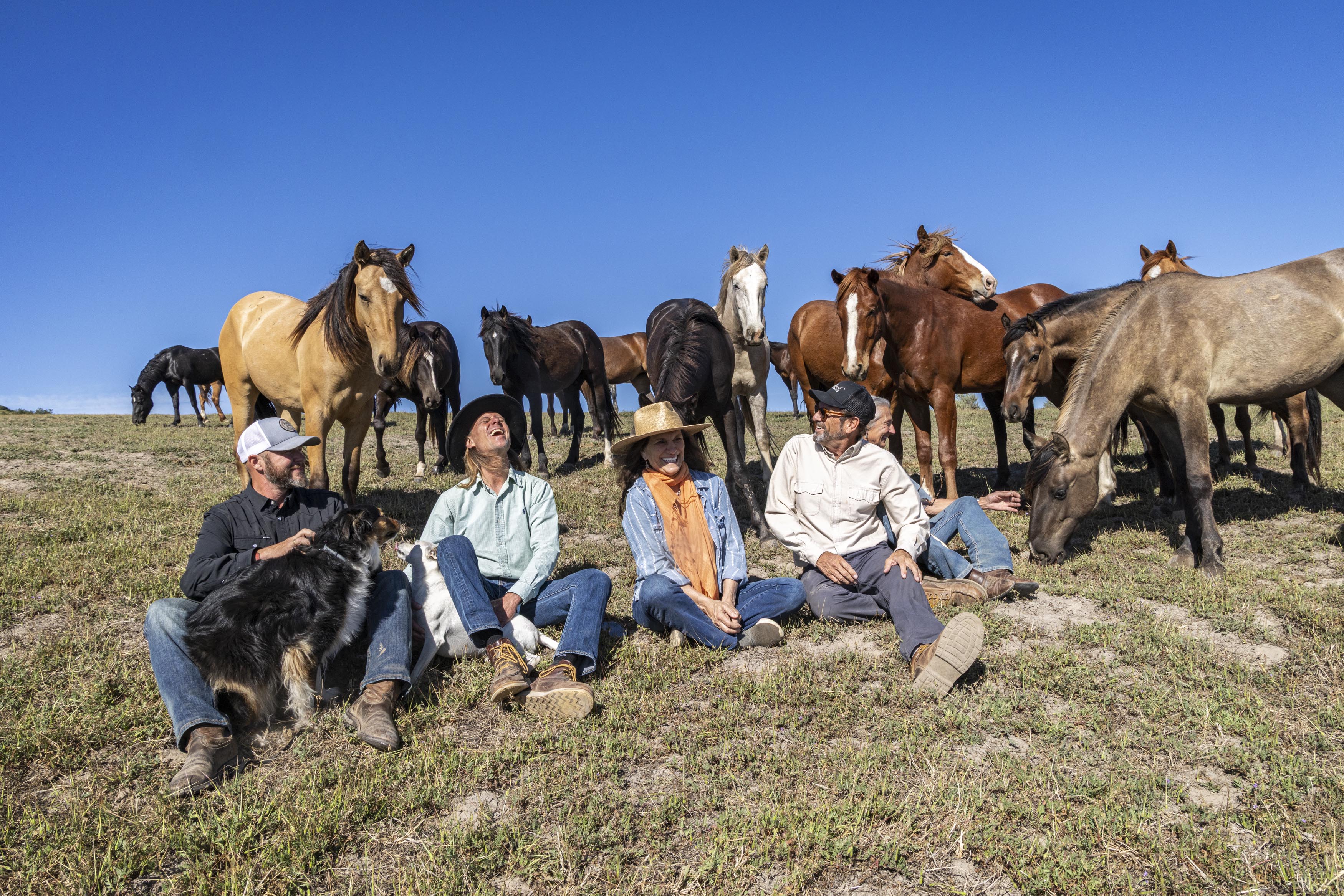 Regenerative Wine: Vineyard's 2026 Shift to Permaculture