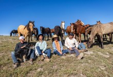 Jumping into Regenerative Wine