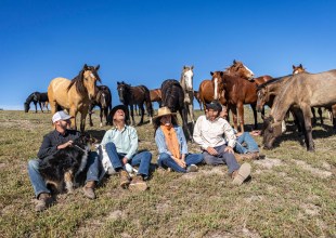 Jumping into Regenerative Wine