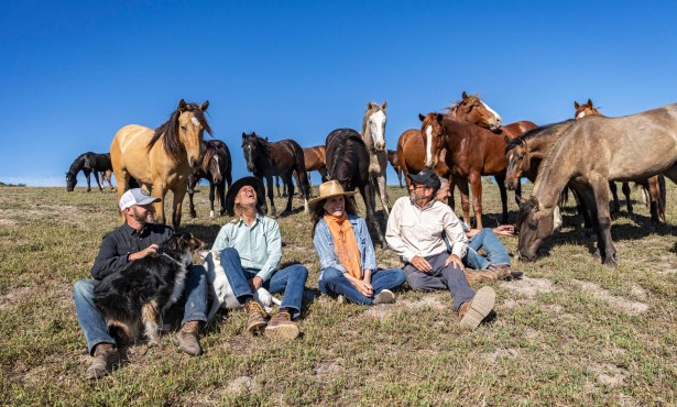 Jumping into Regenerative Wine