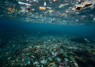 Seabed Debris Cleanup