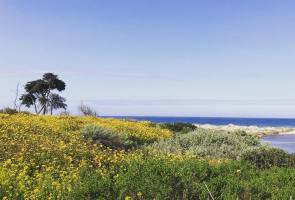Public Tour of Nature Reserve