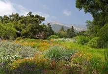 Spring Gardening Festival Returns to Marjorie Luke Theatre