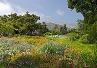 Spring Gardening Festival Returns to Marjorie Luke Theatre