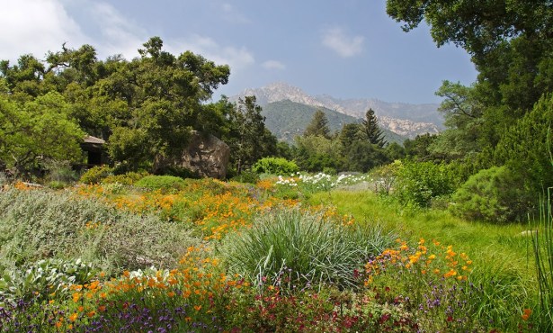 Spring Gardening Festival Returns to Marjorie Luke Theatre