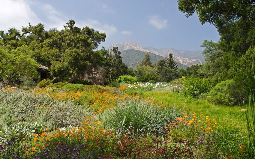 Spring Gardening Festival Returns to Marjorie Luke Theatre